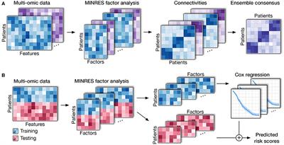 A Novel Method for Cancer Subtyping and Risk Prediction Using Consensus Factor Analysis